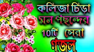 মন পছন্দের দশটি সেরা নতুন গজল Mon pasander 10th Shera gojol [upl. by Caron]