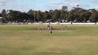 Wimmera FNL RD8 2024 Horsham Saints vs Dimboola [upl. by Myers]