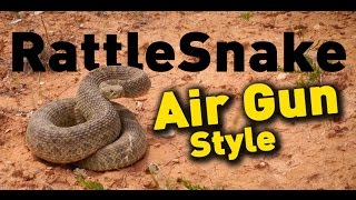 Rattle Snake Hunt Real Air Gun Hunting  American Airgunner TV [upl. by Nannek]