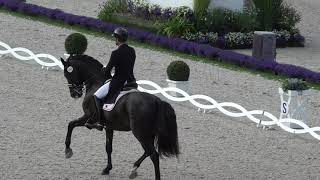 Poeta de Susaeta  CHIO AACHEN 2021  ANDALUSIAN HORSE  YEGUADA SUSAETA [upl. by Eanat613]