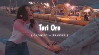 teri ore  slowed  reverb  mai kho gya  reverb song  mr vsc [upl. by Grissom]