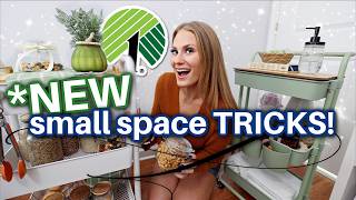 Youre MISSING these DOLLAR TREE ORGANIZING tricks 🔥 small space secrets ✨ [upl. by Calandria]