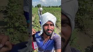 Drone tho sprey 🌱 farming agriculture technology lifestyle vlog [upl. by Eniluqaj530]