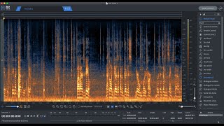 Audio Post Production iZotope RX Advanced Techniques for Dialogue Editing [upl. by Erdna926]