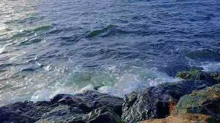 Dubai 🔥The lapping waves of the water at Ajman Beach are amazing to watch [upl. by Lynus]