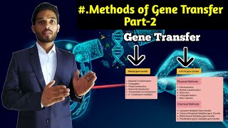 Methods of gene transfer Part2  Liposome mediated gene Transfer  BSc 2nd year Zoology 4rth Sem [upl. by Anrim]