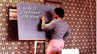 MIKE MENTZER HOW MUCH PROTEIN DO YOU REALLY NEED [upl. by Gilford354]