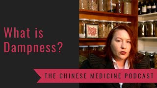 What is Dampness The Chinese Medicine Podcast with Marie Hopkinson [upl. by Fritze]