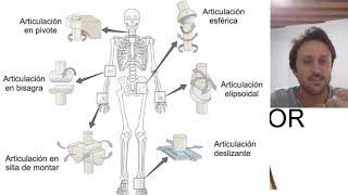 Generalidades de las articulaciones [upl. by Nedrud]