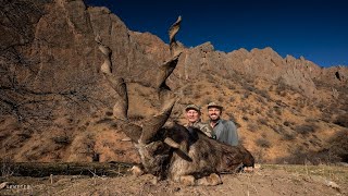 Tajikistan  Markhor  Urial  Marco Polo [upl. by Pascha]