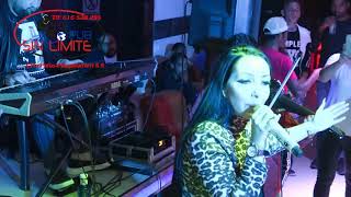 Stilo Romano cu Narcisa live 2019 in discoteca sin limite [upl. by Sirac]