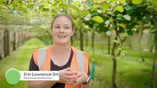 Greater resilience and sustainability in kiwifruit [upl. by Annair186]