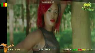 AFROBEAT CAMER 2016 Vol 3  DJ JUDEX ft Mr Leo X Maleya Magasco [upl. by Marlin]