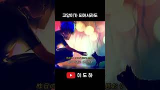 딧슈 네코 커버 DISH 猫 Neko Cover shorts cover neko [upl. by Rodnas]