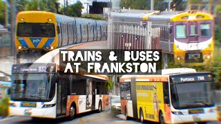 Trains amp Buses at Frankston  February 2024 [upl. by Belier]