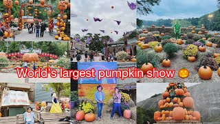 World’s largest Pumpkin Show  Stone Mountain Park’s laser show  Pumpkin festival [upl. by Snider]