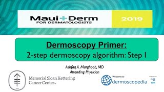 2Step Dermoscopy Algorithm Step 1 [upl. by Asirap]