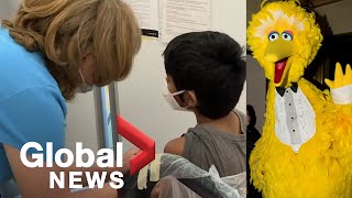 Sesame Streets Big Bird helps kids prepare for the COVID19 vaccine shot [upl. by Iarahs]