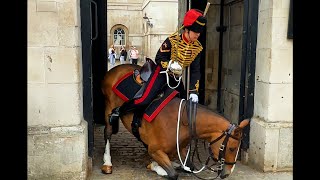 When The Kings Guards Show INCREDIBLE HORSEMANSHIP From Scared Horses [upl. by Obadiah]