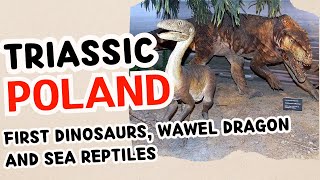 How did Poland look like 230 million years ago First dinosaurs and the Triassic world [upl. by Ailisab]