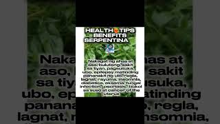 Healthy❤️‍🔥TIPS🌿serpentinahighlight follow follower reels stories post laspiñas like share [upl. by Wheaton501]