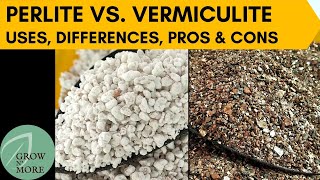 Perlite Vs Vermiculite  Uses Differences Pros amp Cons  When to Use and When to Avoid [upl. by Lantha794]