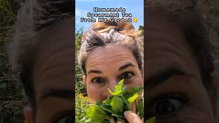 🌿How to Make Refreshing Spearmint Tea spearmint homemadetea gardentea homemade mint tea howto [upl. by Enortna]