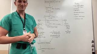 Overnight Series Bradycardia [upl. by Mccormac]