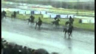 Prix de Cornulier 2001 First de Retz [upl. by Haveman]