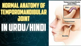 Anatomy of Temporomandibular Joint in detailIn urduhindi [upl. by Felike813]