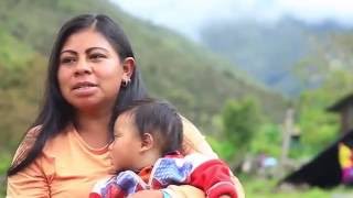 Documental Indígenas Uwa Colombia  Guardianes de la Madre Tierra [upl. by Ydoc]