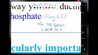 Pentose phosphate pathway I II1 by doctor Heba [upl. by Saint]