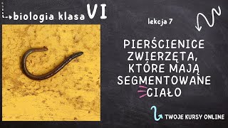 Biologia klasa 6 Lekcja 7  Pierścienice  zwierzęta które mają segmentowane ciało [upl. by Royo433]