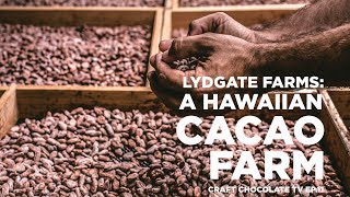 Lydgate Farms A Hawaiian Cacao Farm  Episode 11  Craft Chocolate TV [upl. by Ming]