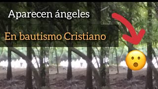 Aparecieron ángeles en bautismo Cristiano qué opinas del video [upl. by Auqemahs]