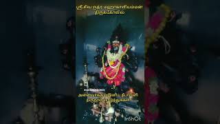 சிவ ருத்ர மஹாகாளியம்மன் திருக்கோவில் சார்பாக இனிய தீபாவளி திருநாள் வாழ்த்துக்கள் 😍😍 [upl. by Miarhpe]