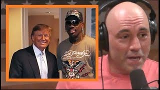 Joe Rogan  Trump Should Hire Dennis Rodman [upl. by Lankton]