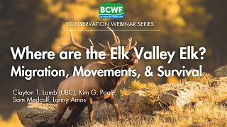 Migration Movement and Survival of the Elk Valley Population [upl. by Frodeen829]