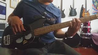 ERASERHEADS  FRUITCAKE  BASS COVER [upl. by Odo952]