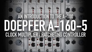 Doepfer A1605 Clock Multiplier  Ratcheting Controller [upl. by Uhthna]