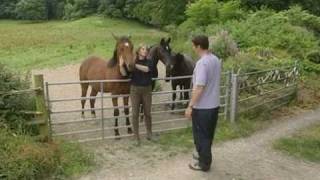 Farm Diversification in mid Wales [upl. by Azar]