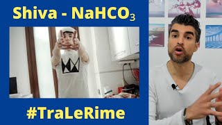 Commento TraLeRime Bicarbonato  Shiva  Analisi Testo  Reaction [upl. by Oiramaj884]