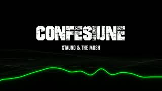 STAUND amp THE MOSH  “CONFESIUNE” 😈 Official Audio [upl. by Limaa]