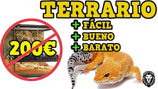 COMO HACER UN TERRARIO CASERO Gecko Leopardo  Reino Animal [upl. by Esele]