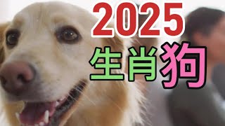 哪位和我一樣屬狗～屬狗🐶生肖2025年運勢👏 [upl. by Ardeid605]