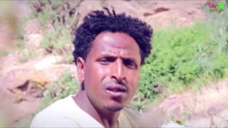 zara tv  Hailab Gbretnsaie  Daru  ወይናዊት  weynawitey  New Eritrean music [upl. by Esbensen]