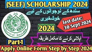 How to apply For Sindh Educational Endowment Scholarship  SEEF Scholarship 2024 [upl. by Aihseket960]