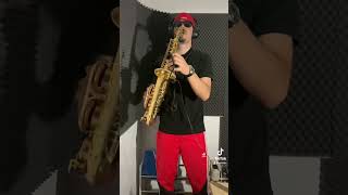 Destination Calabria on saxophone 🎷 saxophone saxcover saxophoneplayer music cover [upl. by Bock350]