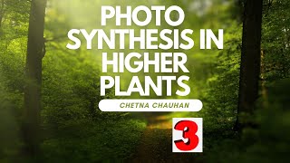 photosynthesis in higher plants lec 3 chemiosmosis [upl. by Eniarda]