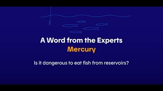 Is it dangerous to eat fish from reservoirs [upl. by Juanita]